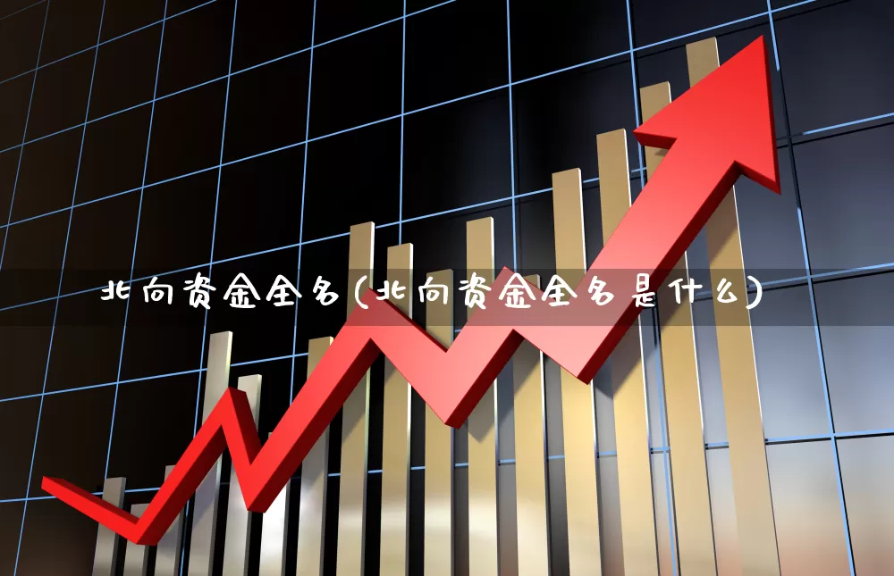 北向资金全名(北向资金全名是什么)_https://www.haiwangdasha.com_深交所_第1张