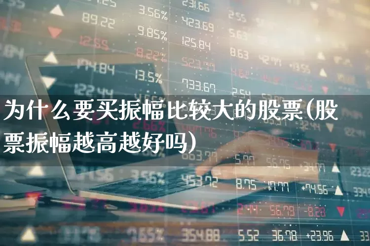 为什么要买振幅比较大的股票(股票振幅越高越好吗)_https://www.haiwangdasha.com_北交所_第1张
