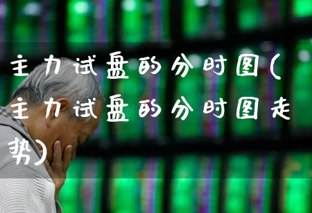 主力试盘的分时图(主力试盘的分时图走势)_https://www.haiwangdasha.com_科创板_第1张