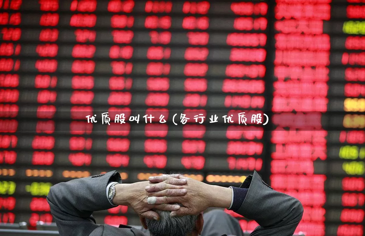 优质股叫什么(各行业优质股)_https://www.haiwangdasha.com_北交所_第1张