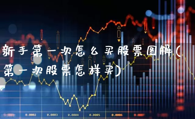 新手第一次怎么买股票图解(第一次股票怎样买)_https://www.haiwangdasha.com_科创板_第1张