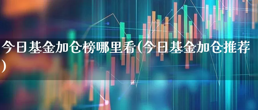 今日基金加仓榜哪里看(今日基金加仓推荐)_https://www.haiwangdasha.com_上交所_第1张