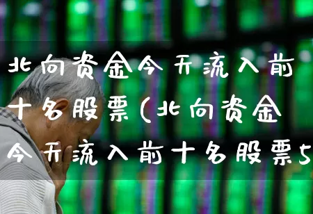 北向资金今天流入前十名股票(北向资金今天流入前十名股票5月4日)_https://www.haiwangdasha.com_北交所_第1张