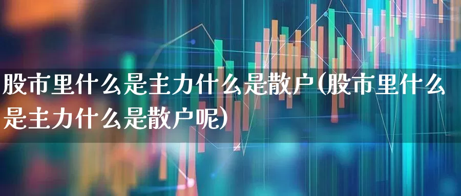 股市里什么是主力什么是散户(股市里什么是主力什么是散户呢)_https://www.haiwangdasha.com_深交所_第1张