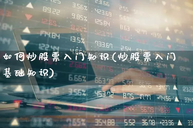 如何炒股票入门知识(炒股票入门基础知识)_https://www.haiwangdasha.com_创业板_第1张
