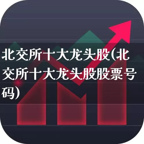 北交所十大龙头股(北交所十大龙头股股票号码)_https://www.haiwangdasha.com_上交所_第1张
