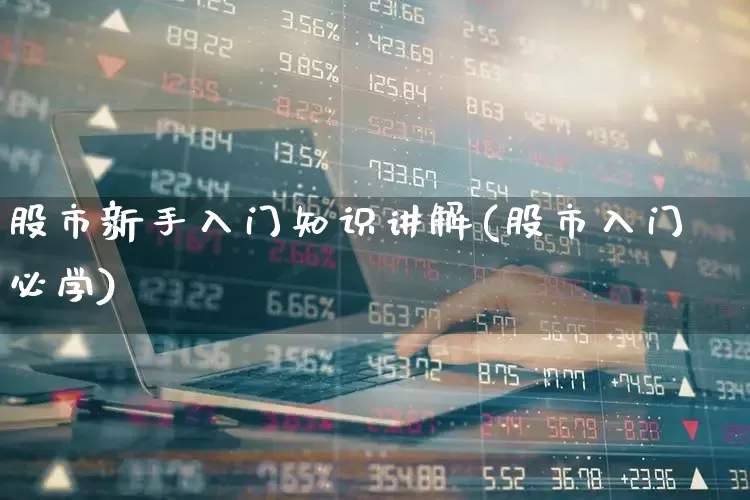 股市新手入门知识讲解(股市入门必学)_https://www.haiwangdasha.com_深交所_第1张