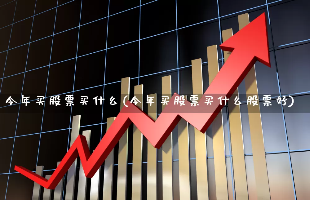 今年买股票买什么(今年买股票买什么股票好)_https://www.haiwangdasha.com_科创板_第1张