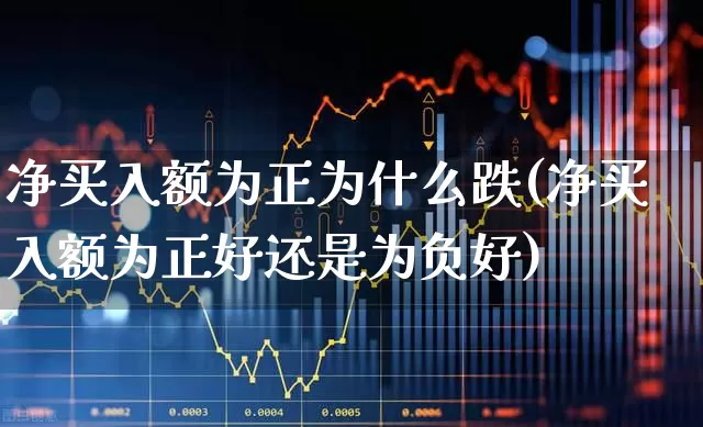 净买入额为正为什么跌(净买入额为正好还是为负好)_https://www.haiwangdasha.com_创业板_第1张