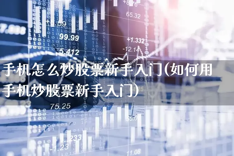 手机怎么炒股票新手入门(如何用手机炒股票新手入门)_https://www.haiwangdasha.com_北交所_第1张