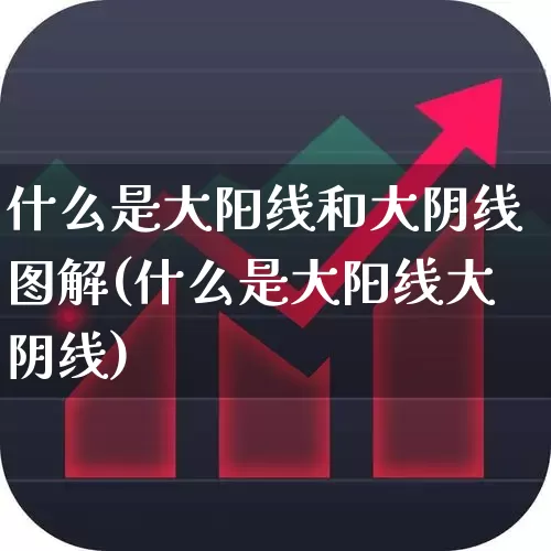 什么是大阳线和大阴线图解(什么是大阳线大阴线)_https://www.haiwangdasha.com_上交所_第1张