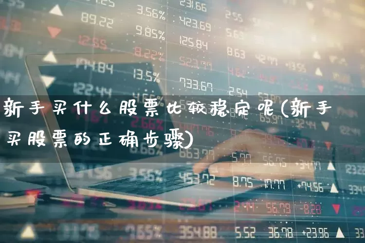 新手买什么股票比较稳定呢(新手买股票的正确步骤)_https://www.haiwangdasha.com_上交所_第1张