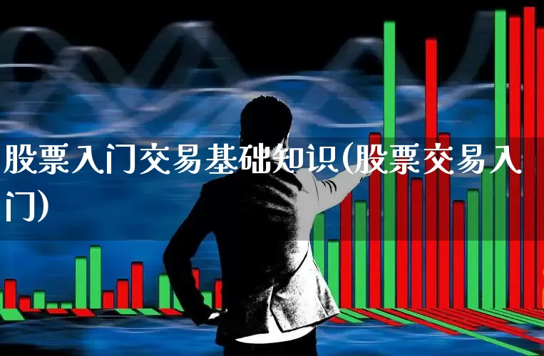股票入门交易基础知识(股票交易入门)_https://www.haiwangdasha.com_深交所_第1张