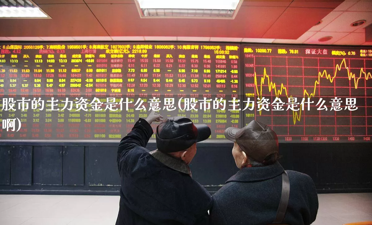 股市的主力资金是什么意思(股市的主力资金是什么意思啊)_https://www.haiwangdasha.com_深交所_第1张