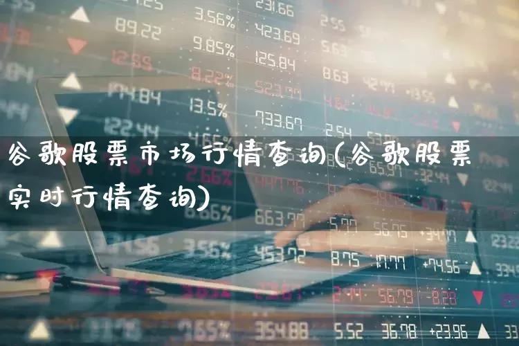 谷歌股票市场行情查询(谷歌股票实时行情查询)_https://www.haiwangdasha.com_北交所_第1张