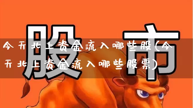 今天北上资金流入哪些股(今天北上资金流入哪些股票)_https://www.haiwangdasha.com_创业板_第1张