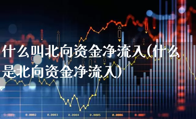 什么叫北向资金净流入(什么是北向资金净流入)_https://www.haiwangdasha.com_深交所_第1张