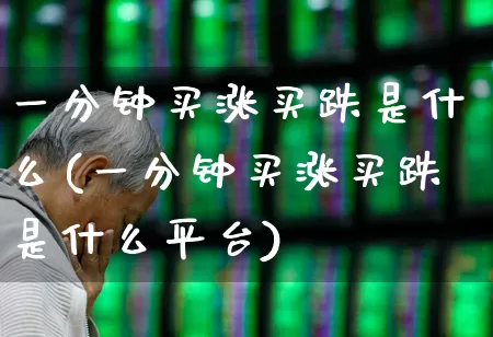 一分钟买涨买跌是什么(一分钟买涨买跌是什么平台)_https://www.haiwangdasha.com_上交所_第1张