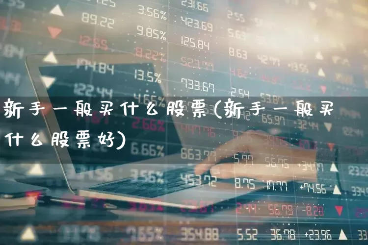 新手一般买什么股票(新手一般买什么股票好)_https://www.haiwangdasha.com_创业板_第1张