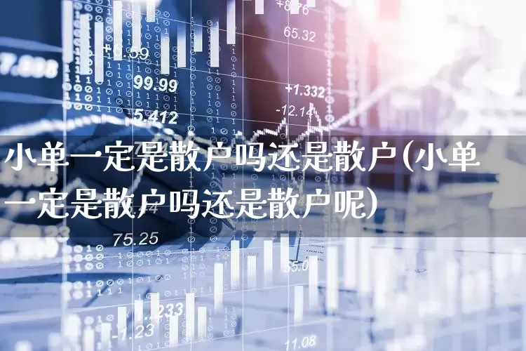 小单一定是散户吗还是散户(小单一定是散户吗还是散户呢)_https://www.haiwangdasha.com_科创板_第1张
