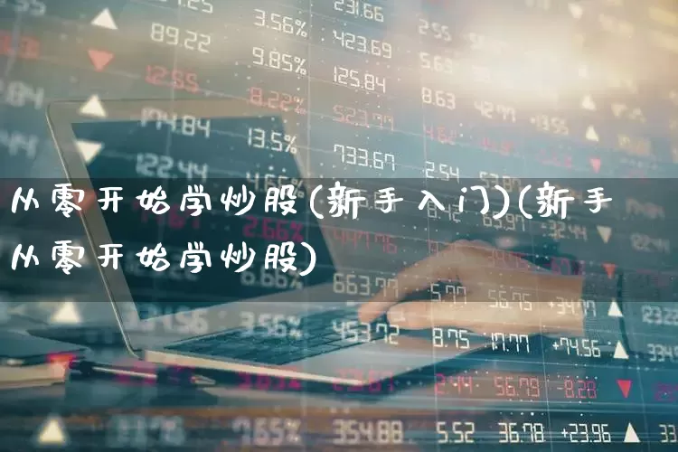 从零开始学炒股(新手入门)(新手从零开始学炒股)_https://www.haiwangdasha.com_科创板_第1张