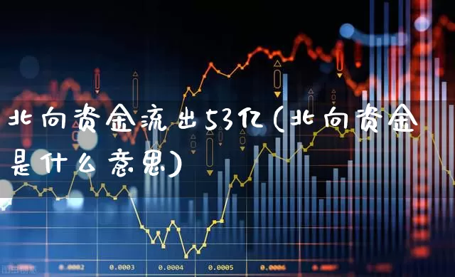 北向资金流出53亿(北向资金是什么意思)_https://www.haiwangdasha.com_创业板_第1张