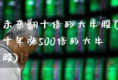 未来翻十倍的大牛股(十年涨500倍的大牛股)_https://www.haiwangdasha.com_上交所_第1张