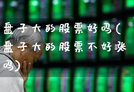 盘子大的股票好吗(盘子大的股票不好涨吗)_https://www.haiwangdasha.com_北交所_第1张