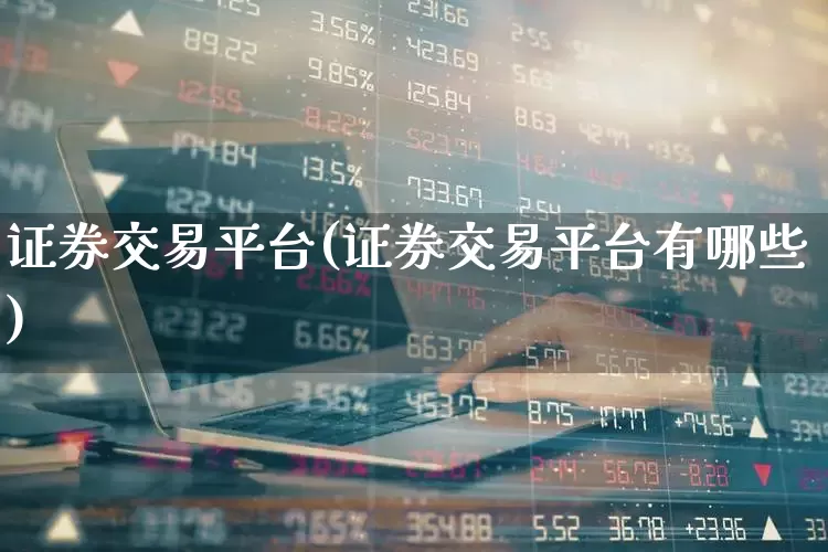 证券交易平台(证券交易平台有哪些)_https://www.haiwangdasha.com_深交所_第1张