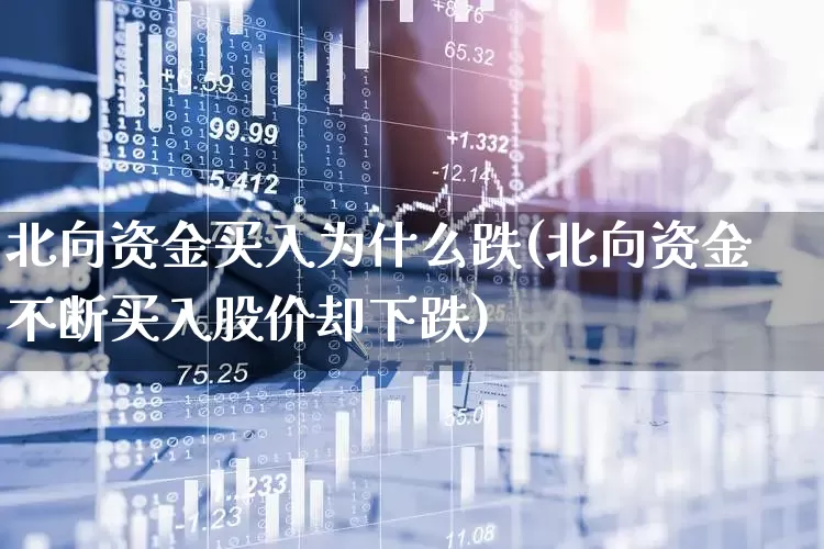 北向资金买入为什么跌(北向资金不断买入股价却下跌)_https://www.haiwangdasha.com_创业板_第1张
