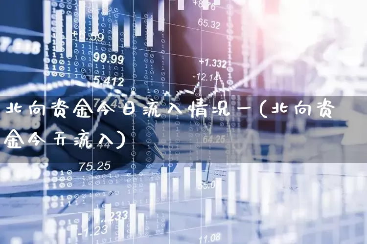 北向资金今日流入情况一(北向资金今天流入)_https://www.haiwangdasha.com_科创板_第1张