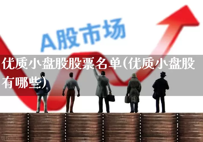 优质小盘股股票名单(优质小盘股有哪些)_https://www.haiwangdasha.com_创业板_第1张