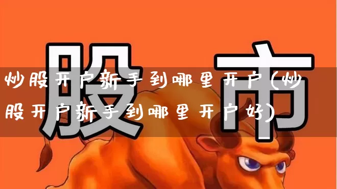 炒股开户新手到哪里开户(炒股开户新手到哪里开户好)_https://www.haiwangdasha.com_北交所_第1张