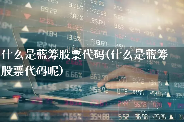 什么是蓝筹股票代码(什么是蓝筹股票代码呢)_https://www.haiwangdasha.com_创业板_第1张