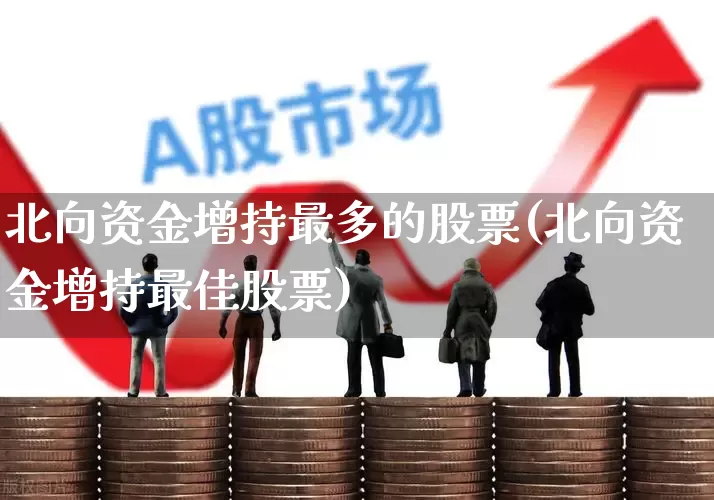北向资金增持最多的股票(北向资金增持最佳股票)_https://www.haiwangdasha.com_上交所_第1张