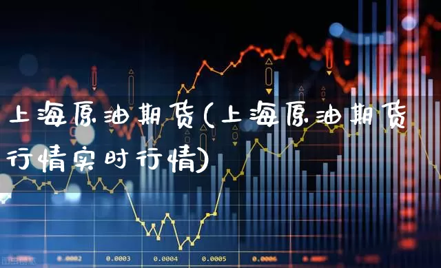 上海原油期货(上海原油期货行情实时行情)_https://www.haiwangdasha.com_郑商所_第1张