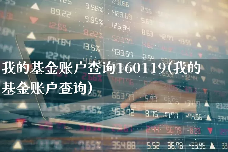 我的基金账户查询160119(我的基金账户查询)_https://www.haiwangdasha.com_上交所_第1张