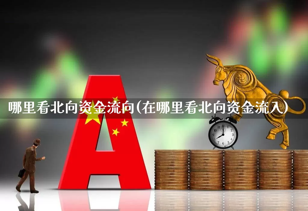 哪里看北向资金流向(在哪里看北向资金流入)_https://www.haiwangdasha.com_创业板_第1张
