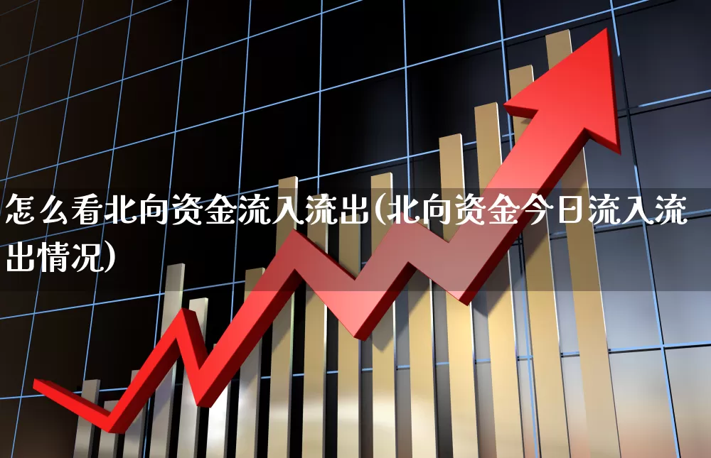 怎么看北向资金流入流出(北向资金今日流入流出情况)_https://www.haiwangdasha.com_上交所_第1张
