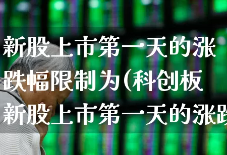 新股上市第一天的涨跌幅限制为(科创板新股上市第一天的涨跌幅限制为)_https://www.haiwangdasha.com_深交所_第1张