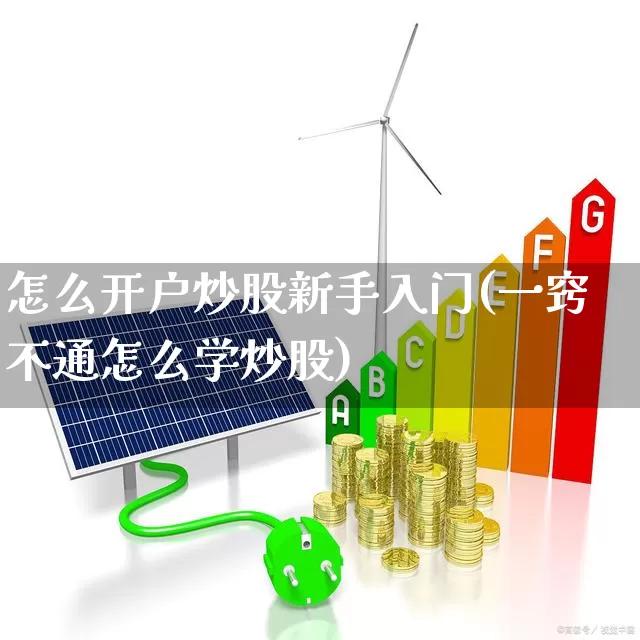 怎么开户炒股新手入门(一窍不通怎么学炒股)_https://www.haiwangdasha.com_上交所_第1张