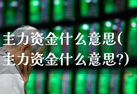 主力资金什么意思(主力资金什么意思?)_https://www.haiwangdasha.com_创业板_第1张