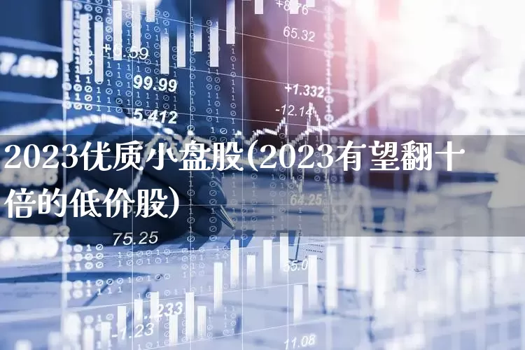 2023优质小盘股(2023有望翻十倍的低价股)_https://www.haiwangdasha.com_北交所_第1张
