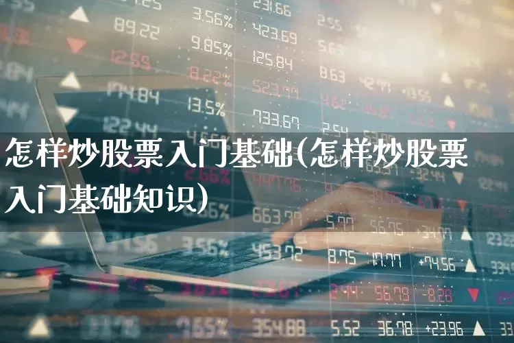 怎样炒股票入门基础(怎样炒股票入门基础知识)_https://www.haiwangdasha.com_上交所_第1张