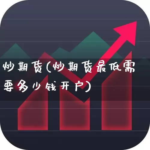 炒期货(炒期货最低需要多少钱开户)_https://www.haiwangdasha.com_中金所_第1张