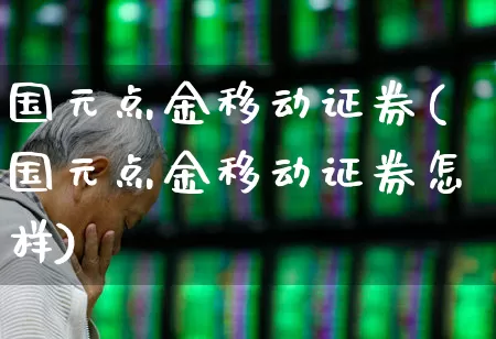 国元点金移动证券(国元点金移动证券怎样)_https://www.haiwangdasha.com_上交所_第1张