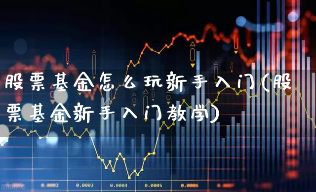股票基金怎么玩新手入门(股票基金新手入门教学)_https://www.haiwangdasha.com_北交所_第1张