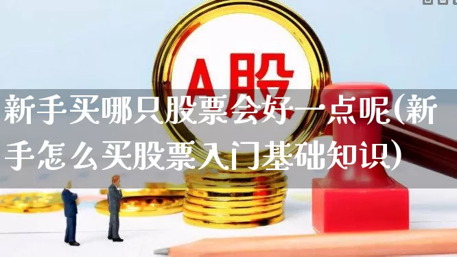 新手买哪只股票会好一点呢(新手怎么买股票入门基础知识)_https://www.haiwangdasha.com_深交所_第1张