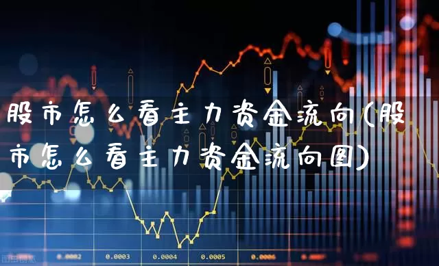 股市怎么看主力资金流向(股市怎么看主力资金流向图)_https://www.haiwangdasha.com_深交所_第1张