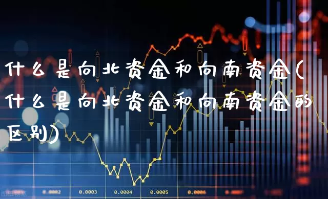 什么是向北资金和向南资金(什么是向北资金和向南资金的区别)_https://www.haiwangdasha.com_深交所_第1张